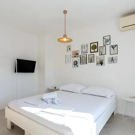 Apartments And Rooms By The Sea Slano, Dubrovnik - 8737 Slano